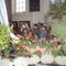vignette_jardins bibliques